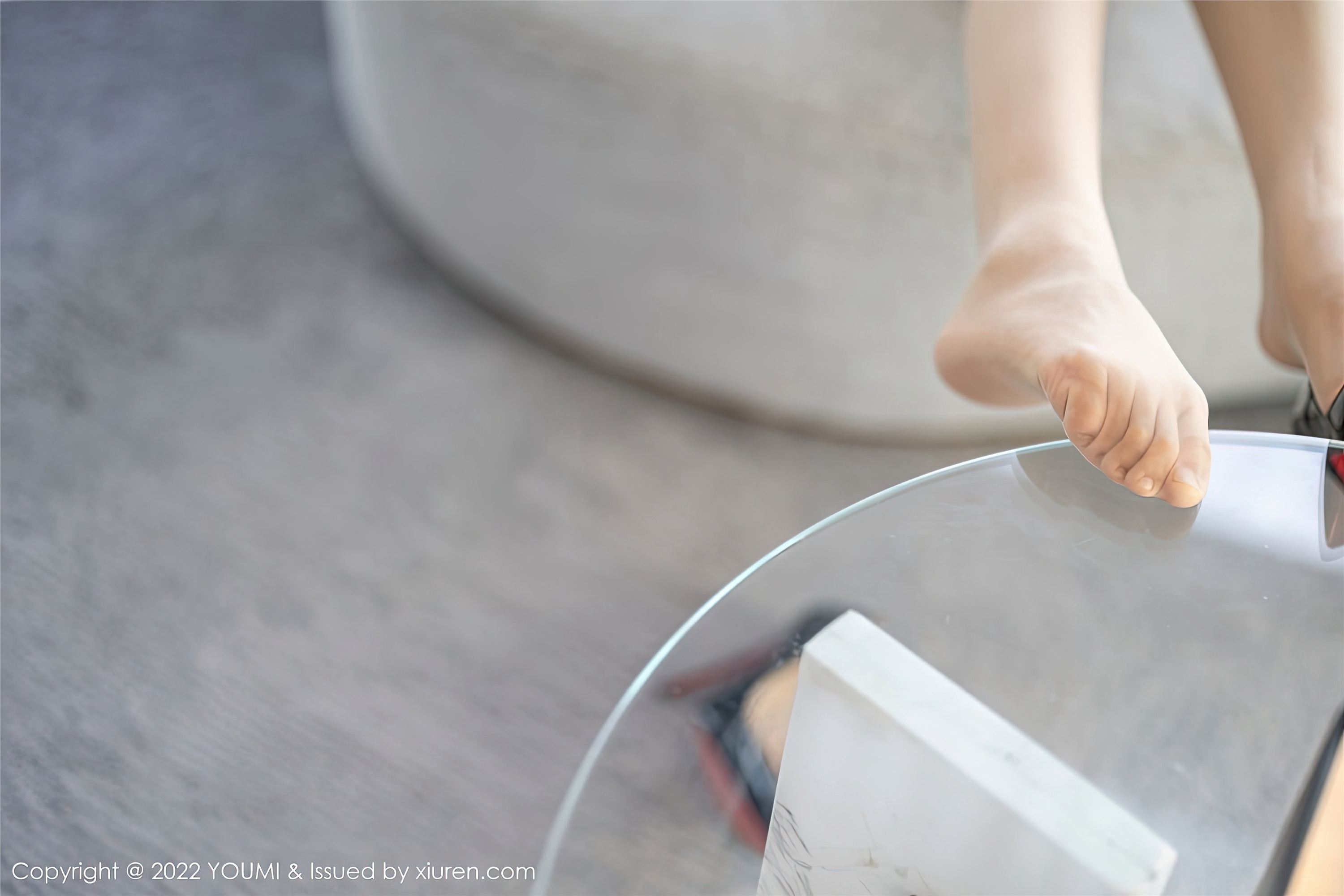 YouMi尤蜜荟 2022.11.29 VOL.870 刘钰儿